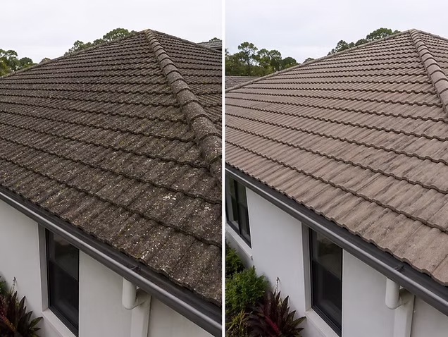 Roof Cleaning